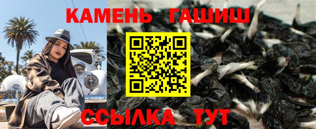 ГАШ Premium Камышин