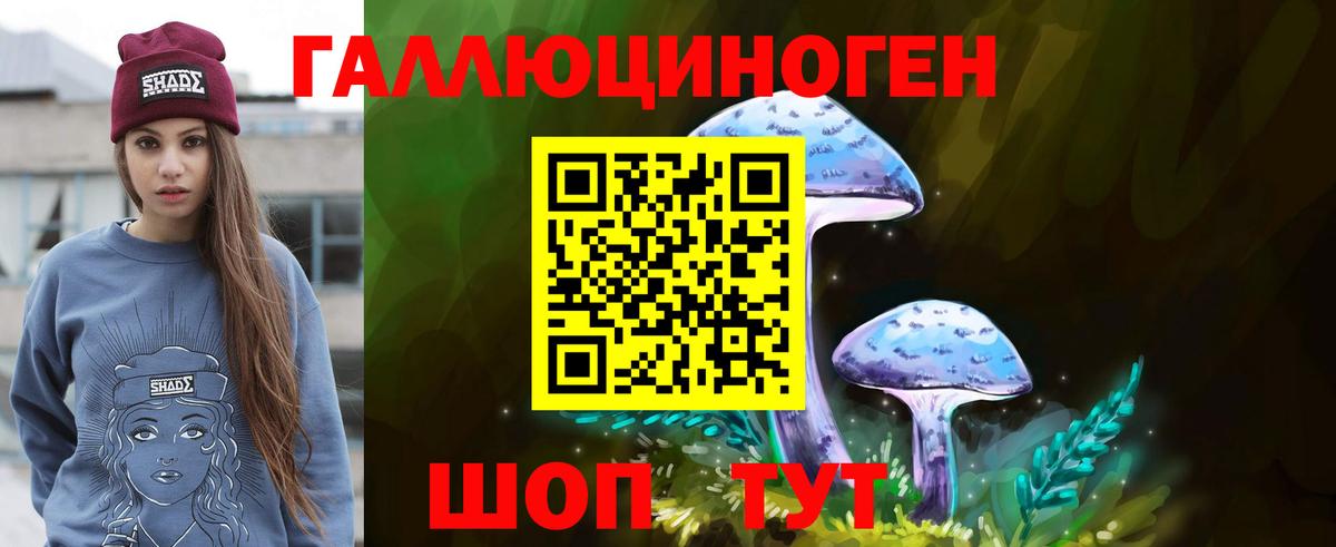 Камышин  Псилоцибиновые грибы MAGIC MUSHROOMS  Вход с VPN 